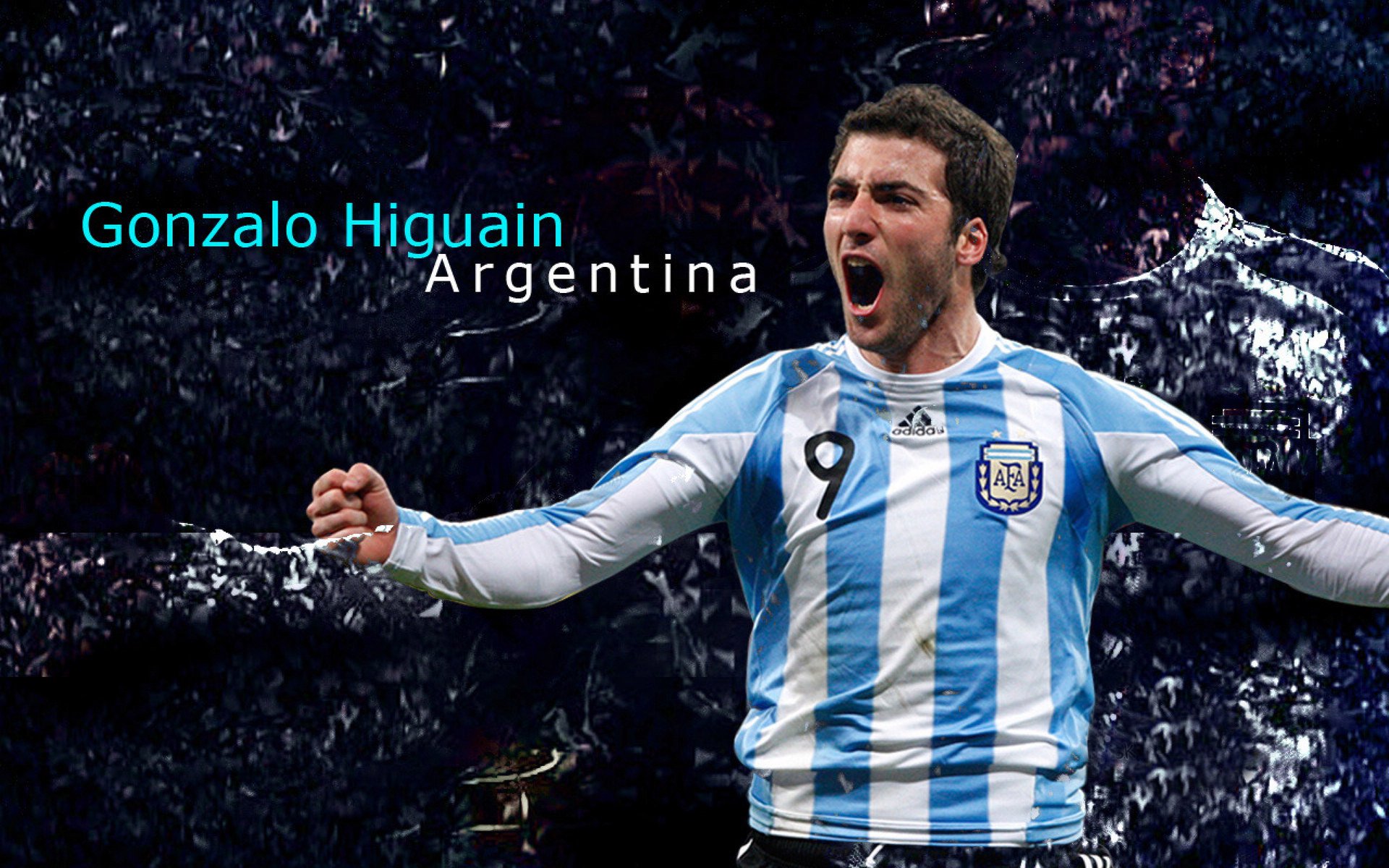 埃弗顿球员手球未被判点球,桑德兰球迷愤怒,埃弗顿著名球员