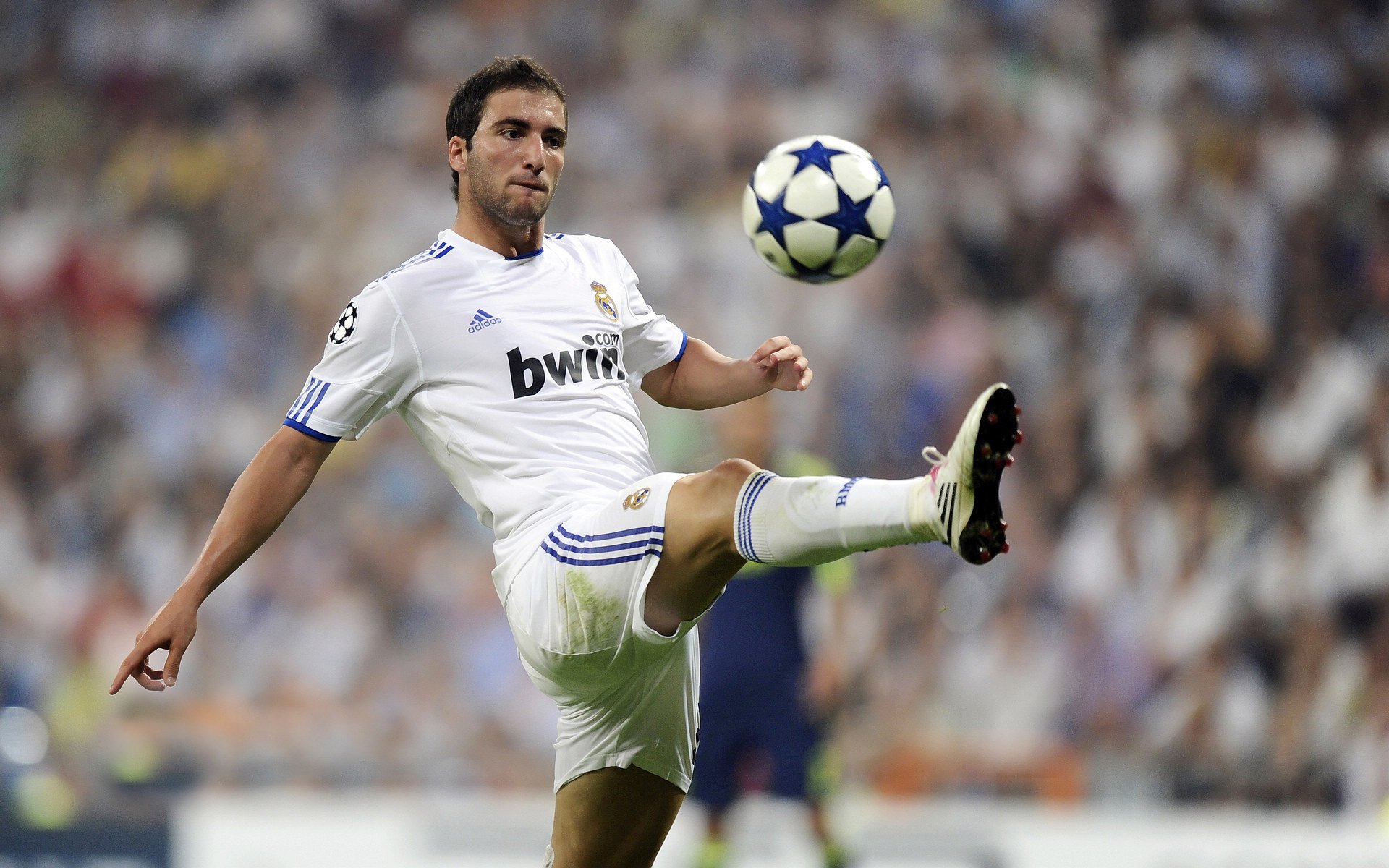 体育焦点快讯带来权威信息,体育新闻首页