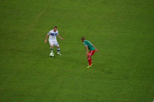 开云体育登入-国乒奖金出炉，王艺迪喜提28万成大赢家！陈幸同仅获3万，奖金分配引热议